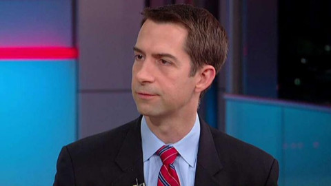 Abrazos y no balazos, una política “de cuento de hadas”: Senador Tom Cotton