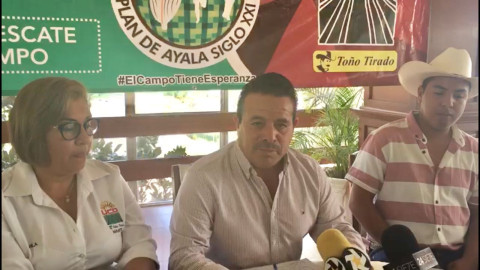 Plantea UCD trabajo coordinado con el gobierno federal