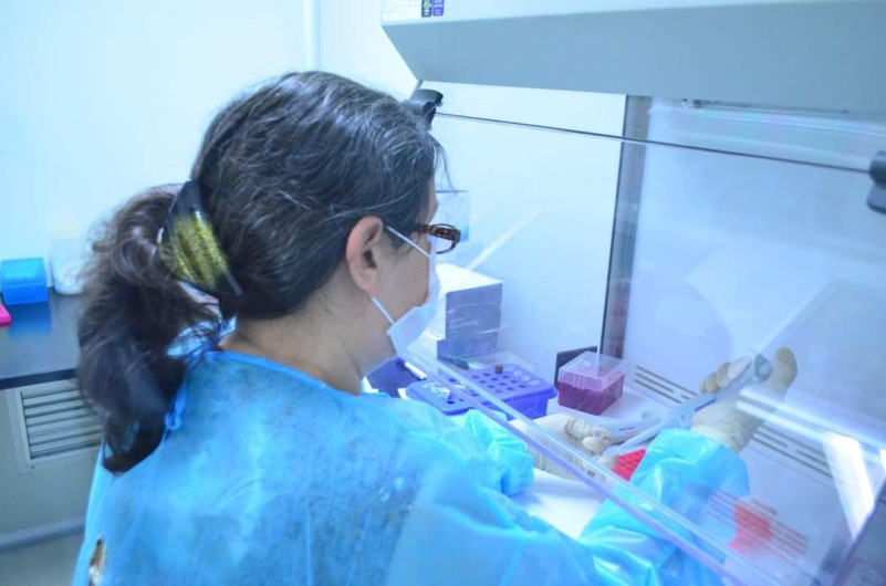 Reporta Salud 69 nuevos contagios de COVID-19 en Tamaulipas