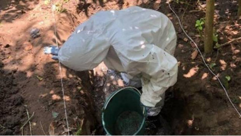 Suben a 174 los cráneos encontrados en fosas de Veracruz