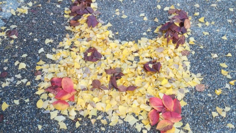 Obras de arte con hojas caídas en Japón