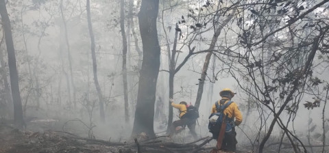 Unen esfuerzos autoridades y ciudadanos para combatir incendio forestal en Hidalgo, Tamaulipas