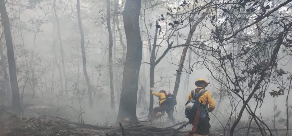 Unen esfuerzos autoridades y ciudadanos para combatir incendio forestal en Hidalgo, Tamaulipas