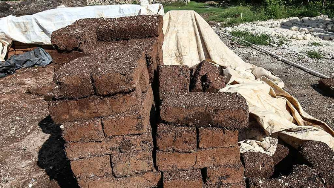 Buscan a joven que convirtió sargazo en ladrillos de construcción