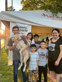 Invitan a la ciudadanía a la feria de adopción canina y felina frente a la catedral