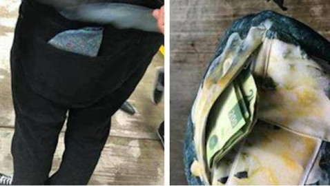 La cartera quesadilla se vuelve viral