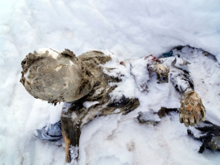 Hallan tres alpinistas momificados en el Pico de Orizaba