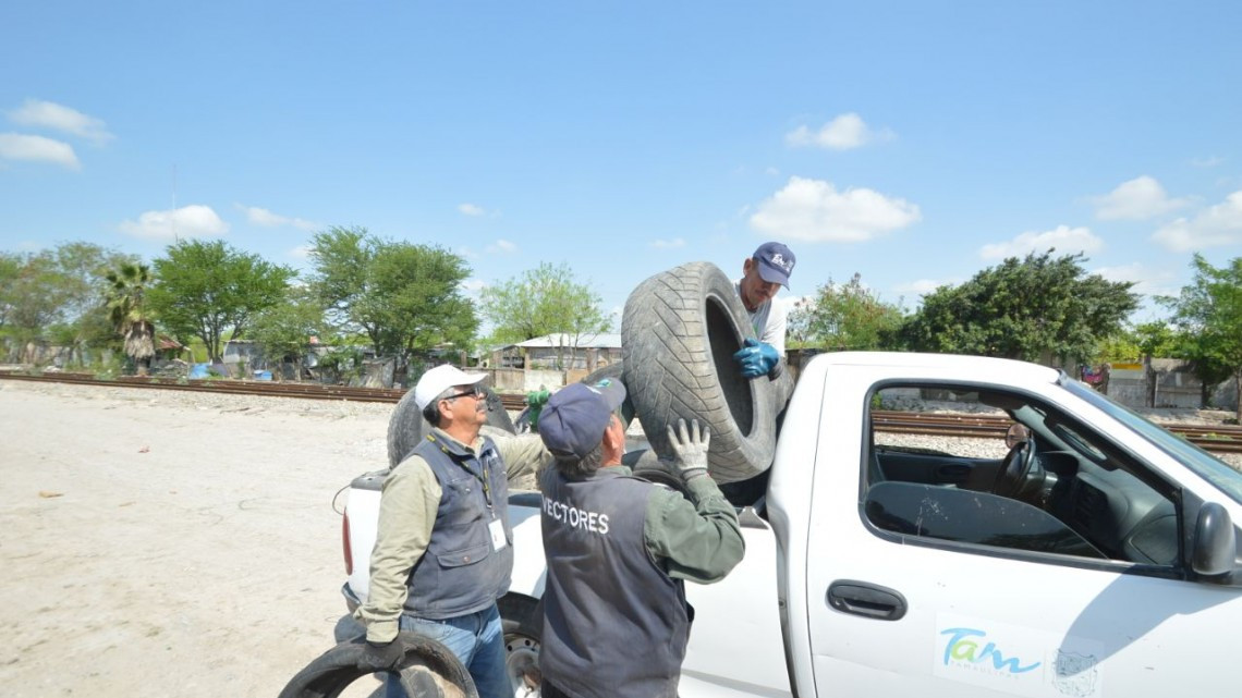 Continúan labores de descacharrización y reparación de alumbrado público