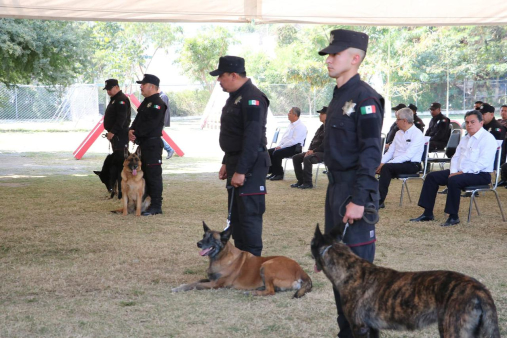 SSPT despide con honores a caninos retirados del servicio activo