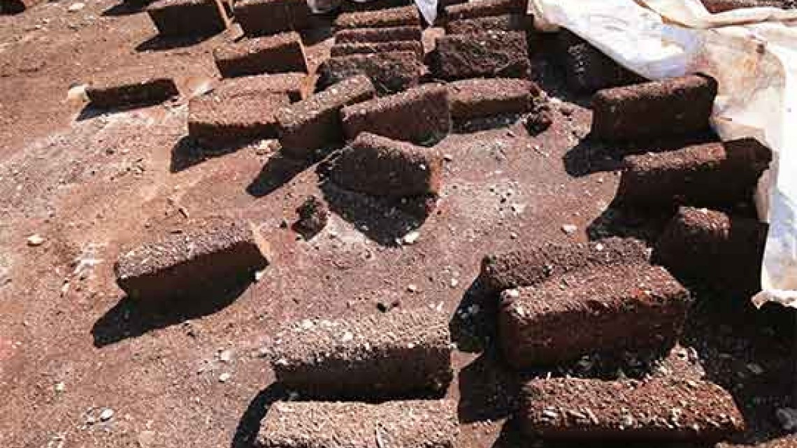 ¿Mucho sargazo? La creatividad mexicana no tiene límites