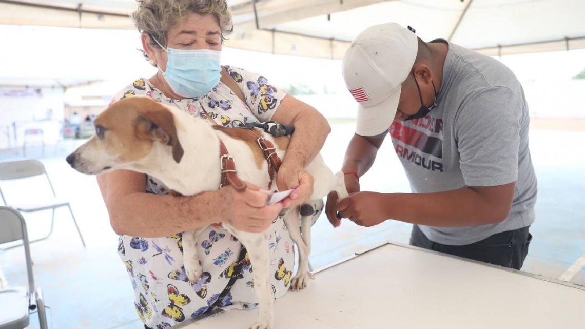 Realizará Gobierno de Nuevo Laredo Brigadas Médico-Asistencial y Brigada de Salud Veterinaria 