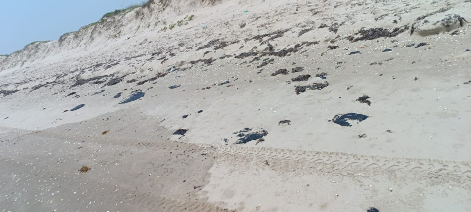 Investiga Procuraduría Ambiental y Urbana presencia de hidrocarburo en playa Miramar y Tesoro