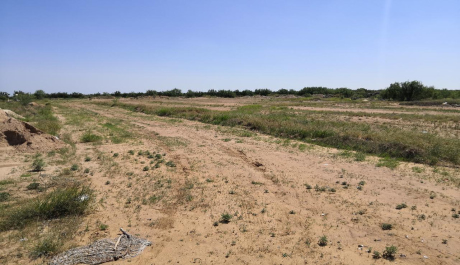 Amplían capacidad del Panteón Municipal 2 para habilitar 34 fosas Covid