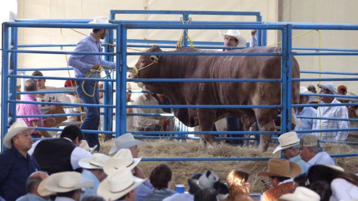 Refrenda estado compromiso con el sector pecuario