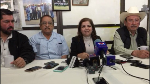 Busca Leticia Cisneros dirigir la CANACO