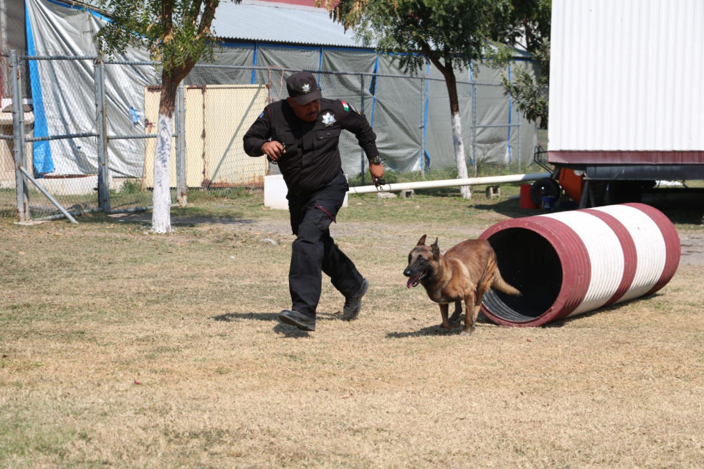 De compañeros a familia: policía de la Guardia Estatal adopta a canino retirado