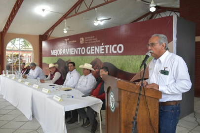 Gobierno del Estado respalda a ganaderos de Aldama con Programa de Mejoramiento Genético