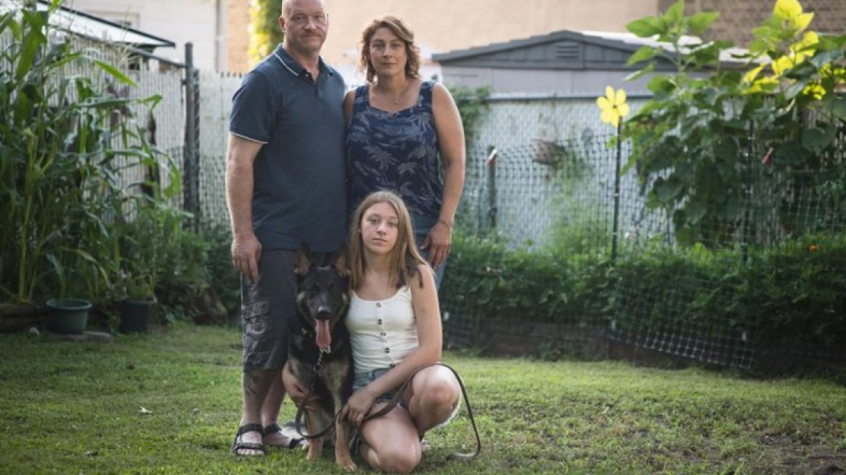 Fallece Buddy, primer perro en Estados Unidos en dar positivo a COVID-19 