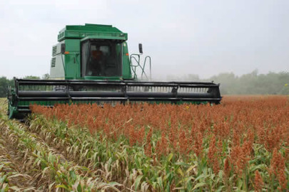 Sorgueros de Tamaulipas advierten bloqueos a puentes internacionales