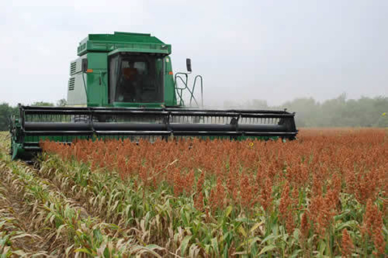 Sorgueros de Tamaulipas advierten bloqueos a puentes internacionales