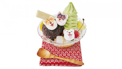 Conoce a los perritos más adorables y deliciosos