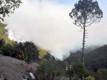 Registran incendio en Parque Nacional de Hidalgo