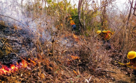 Clases suspendidas en Oaxaca por incendios forestales