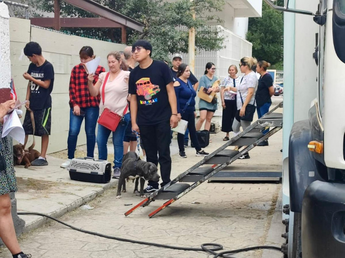 Gran éxito de la campaña de esterilización realizada por COMUSA