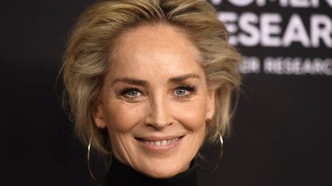 Sharon Stone trabaja en el equipo de transición de Joe Biden