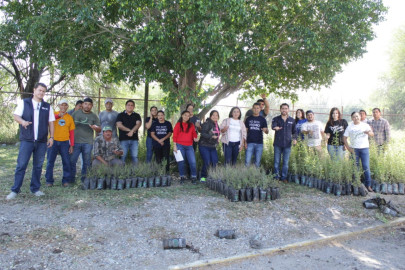 Jóvenes llevarán a cabo acciones de reforestación en Tamaulipas