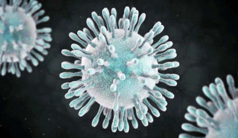 Registra Canadá su primer posible caso de coronavirus