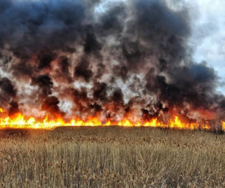 Bomberos responder a incendio en Sullivan City
