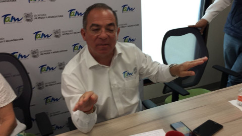 Veda del camarón concluirá hasta el 18 de septiembre