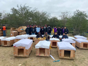 Instalan casas para proteger animalitos en situación de calle ante ola invernal.