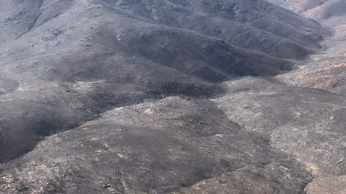 Incendios en BC dejan más de 11 mil hectáreas afectadas