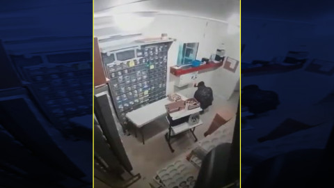 Así fue el robo de centenarios en la casa  de Moneda