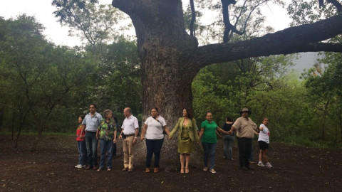 Conmemoran Día del árbol junto a "El abuelo" 