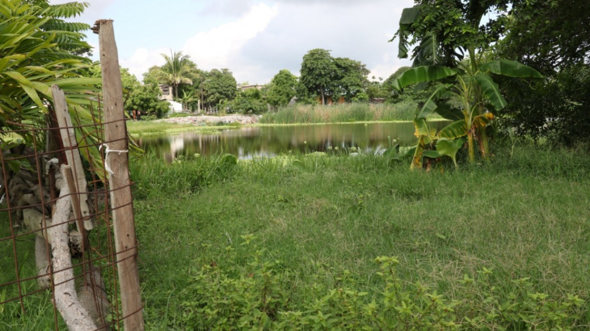 Gobierno de Madero inicia acciones de limpieza en el sistema lagunario