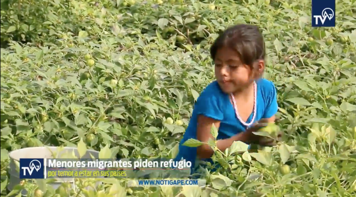 Violencia o migración, la disyuntiva de los menores centroamericanos. Parte 1