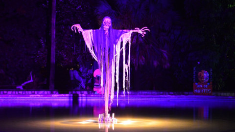  Primera llamada para “Buu en el Zoo”