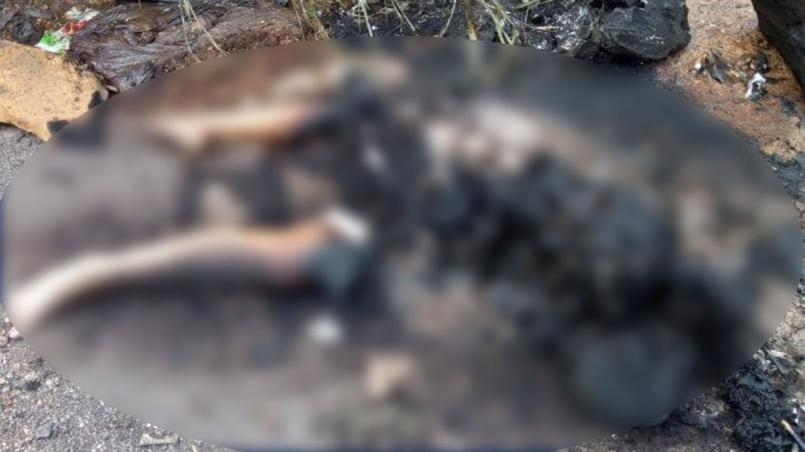 Encuentran cuerpo de joven calcinado en Veracruz