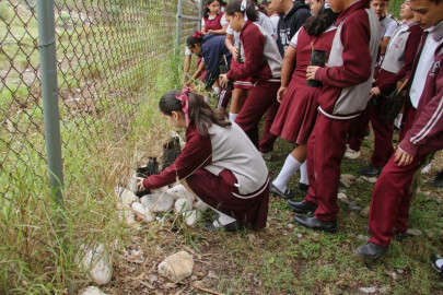 Germinan viveros de árboles nativos en escuelas de Tamaulipas