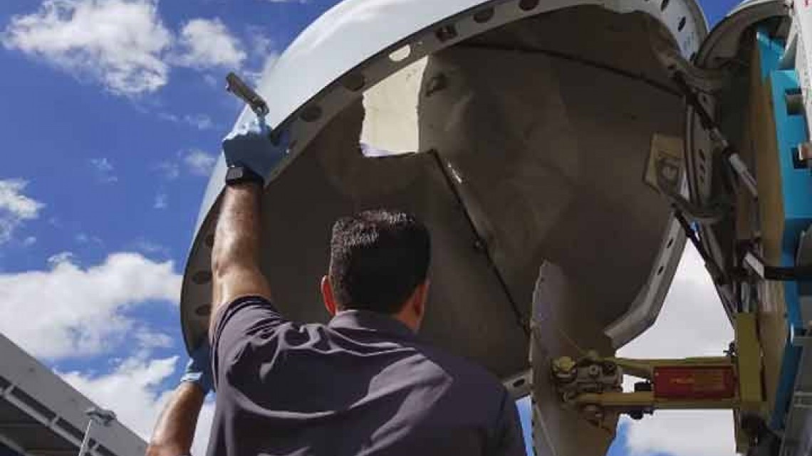 Ave impacta con avión en pleno vuelo