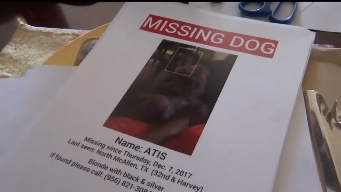 Niño autista busca a su mascota extraviada