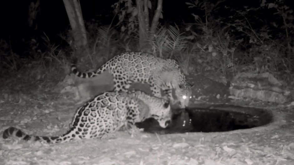 Fortalece Comisión de Parques instalación de bebederos en zonas serranas  