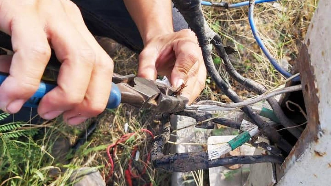 SSP realiza labores de mantenimiento en la ciudad