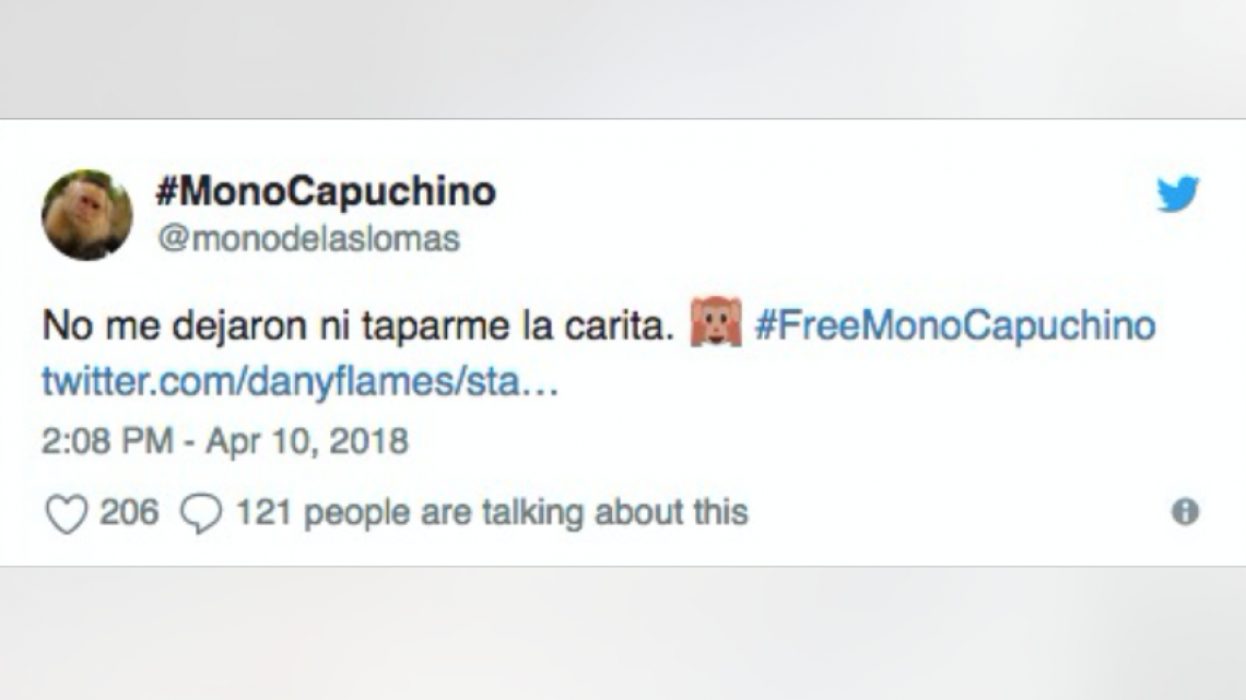 Reacciones y memes por captura del mono de las lomas