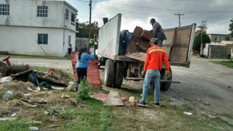 Regidor promueve reforestación de áreas verdes 