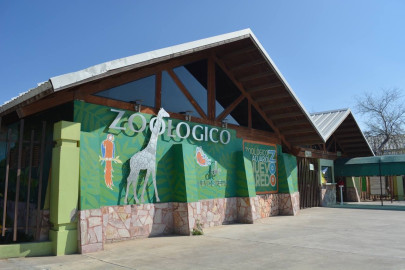 Sistema DIF destinará donaciones con recaudación de cafetería del Zoológico 