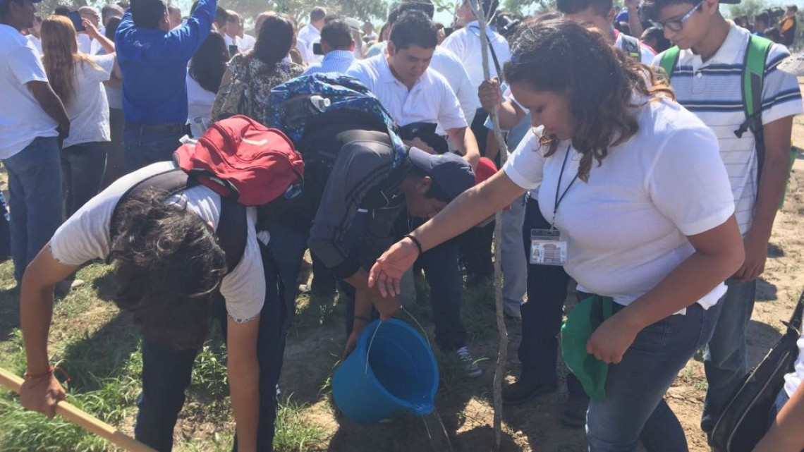 Crean jardín polinizador, ayudará a mariposas monarca